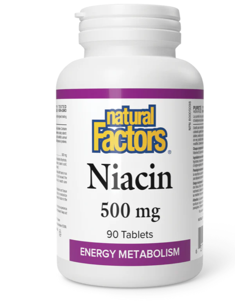 Natural Factors Niacin (Vitamin B3) 500mg 90 tablets